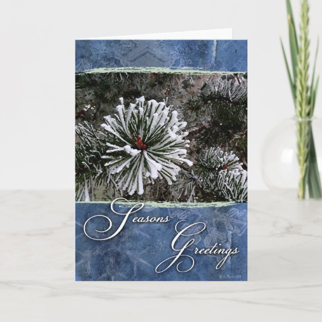 Pine tree in snow-Season's Greetings Holiday Card (Front)
