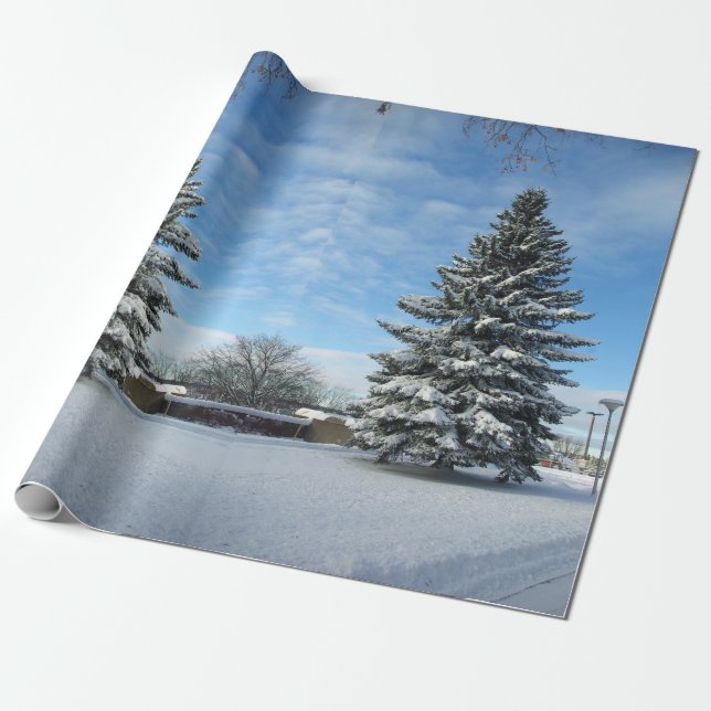Pine Tree in Snow wrapping paper (Unrolled)