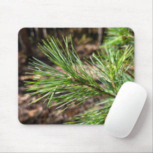 Pine Tree Needles In Sunlight Mouse Pad