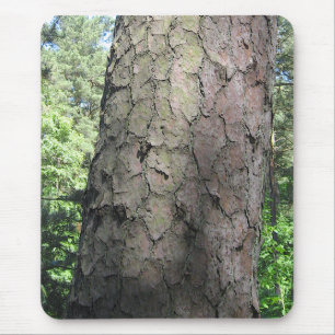 Pine Tree, Palanga Botanical Garden, LITHUANIA – Mouse Pad