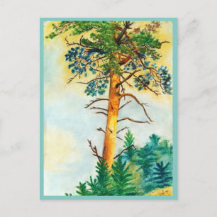 Pine tree pastel postcard