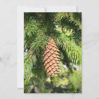 Pine Tree Perfection Holiday Card