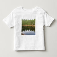 Pine Tree Reflection Lake