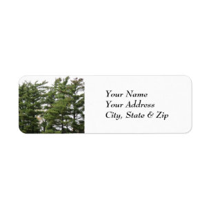 Pine Trees