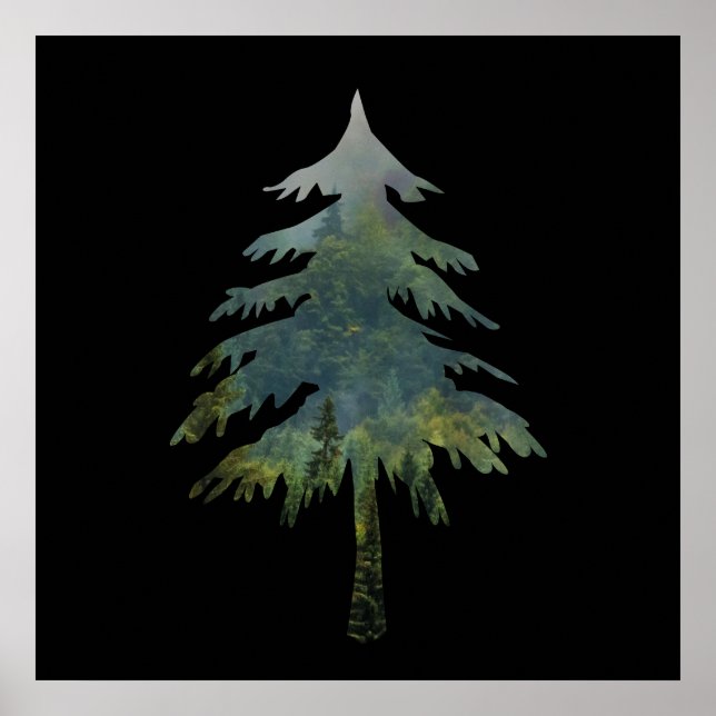 pine trees in a forest poster (Front)