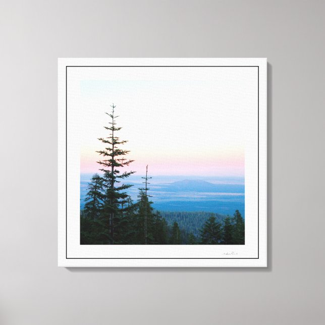 Pine Trees Infinite sky by Sidharta Canvas Print (Front)