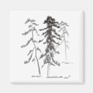 Pine trees magnet