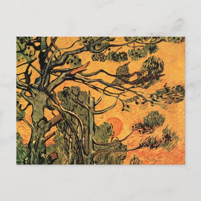 Pine Trees Red Sky Setting Sun by Vincent van Gogh Postcard (Front)
