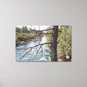 Pine Trees, Rivers, and Old Bridge Photo Canvas Print