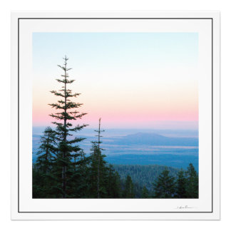 Pine Trees Sunset by Sidharta Photo Print