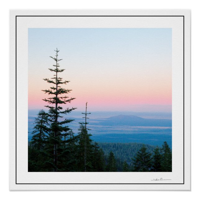 Pine Trees Sunset by Sidharta Poster (Front)