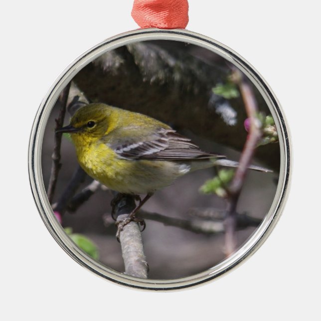 Pine Warbler Metal Tree Decoration (Front)
