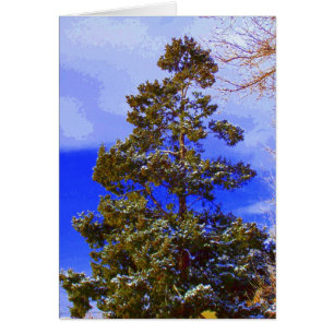 Pine with Pixilated Sky