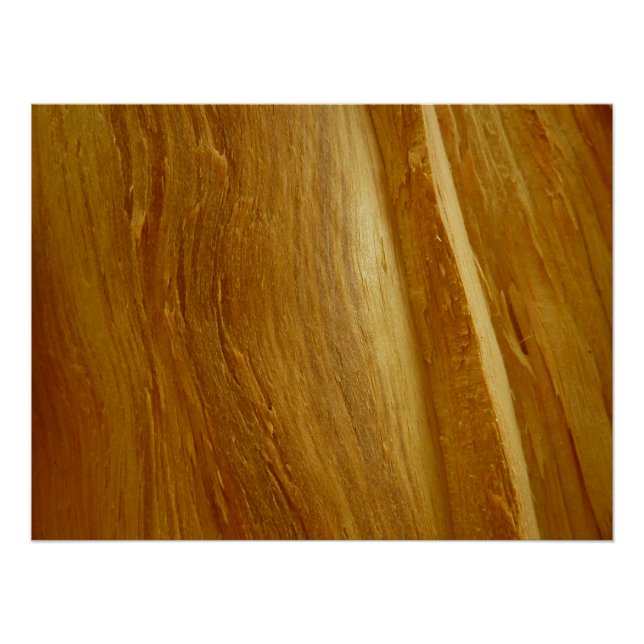Pine Wood II Faux Wooden Texture Poster (Front)