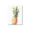 Pineapple 1997