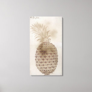 Pineapple, Canvas Print