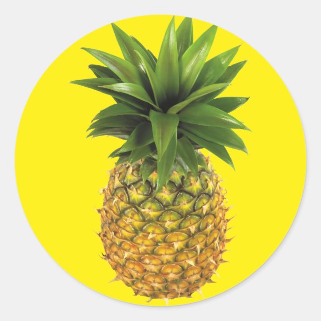 Pineapple Classic Round Sticker (Front)