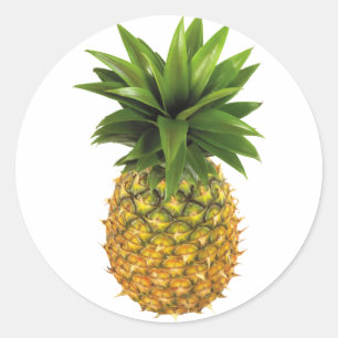 Pineapple Classic Round Sticker