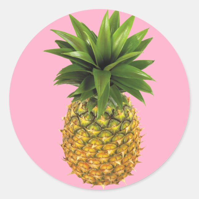 Pineapple Classic Round Sticker (Front)