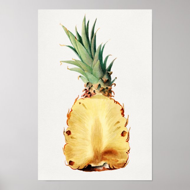 Pineapple cut in half Fruit Watercolor Painting Poster (Front)