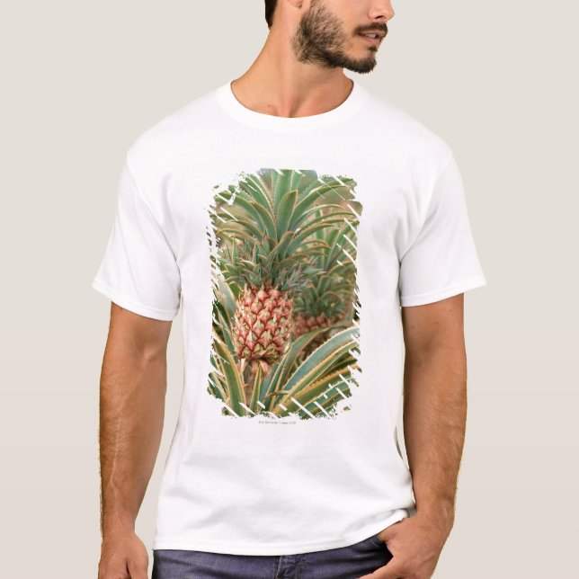 Pineapple Field T-Shirt (Front)
