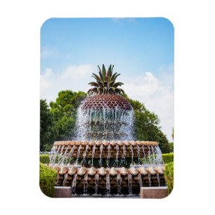 Pineapple Fountain in Charleston, SC Magnet