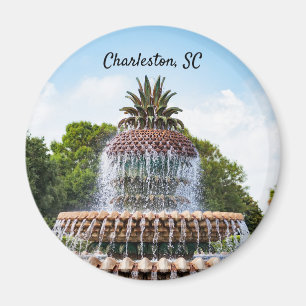 Pineapple Fountain in Charleston, SC Magnet