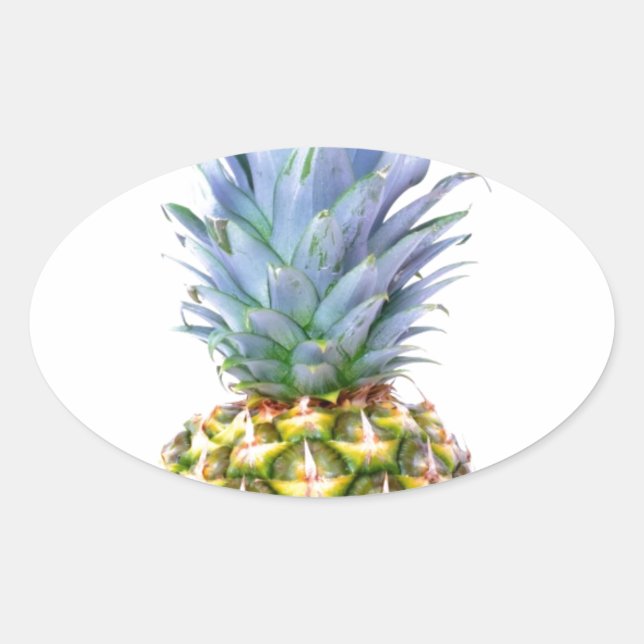 Pineapple Fruit Beach Dessert Colourful Tropical Oval Sticker (Front)