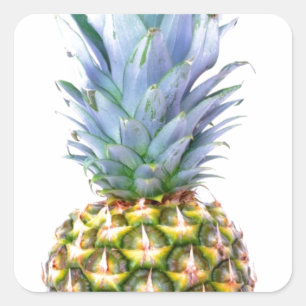 Pineapple Fruit Beach Dessert Colourful Tropical Square Sticker