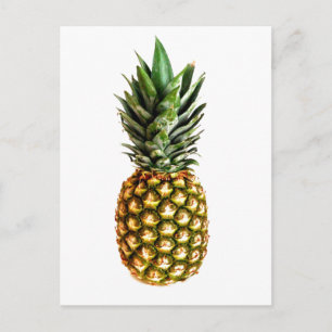 Pineapple fruit print postcards