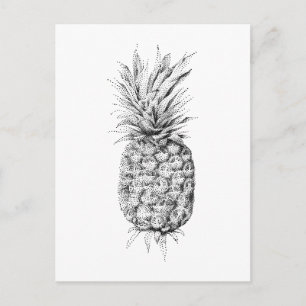 Pineapple illustration postcard