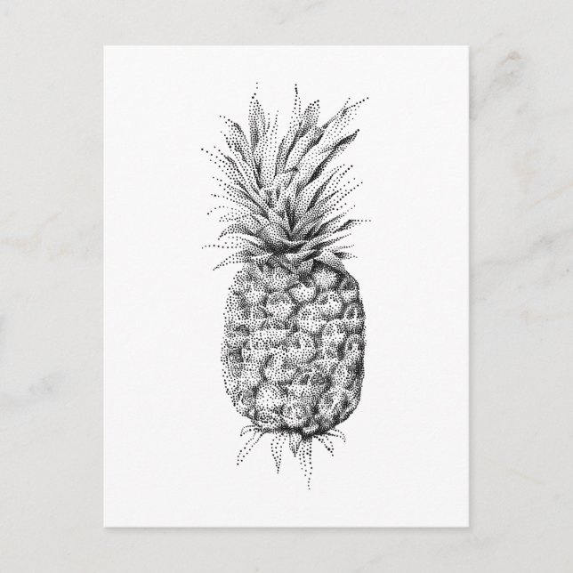 Pineapple illustration postcard (Front)
