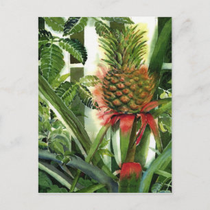 Pineapple in the Jungle Postcard