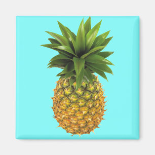 Pineapple Magnet