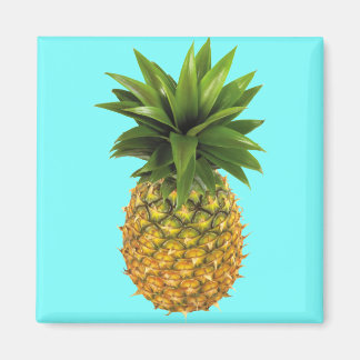 Pineapple Magnet