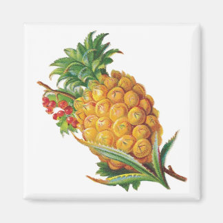Pineapple Magnet
