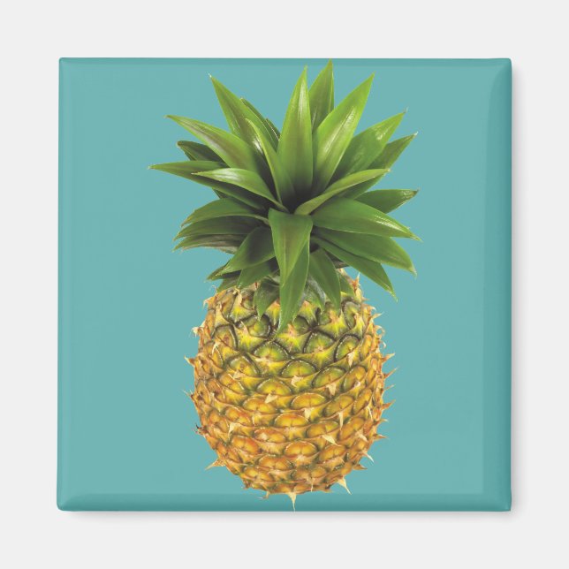 Pineapple Magnet (Front)