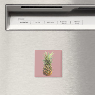 Pineapple Magnet