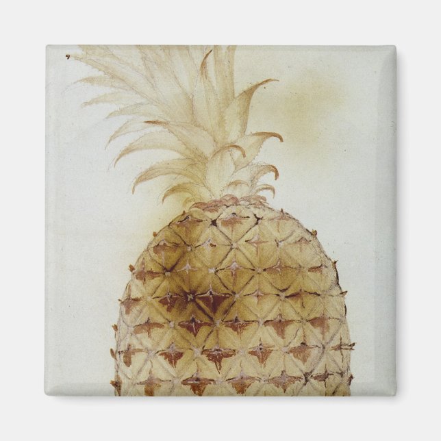 Pineapple Magnet (Front)