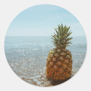 Pineapple Paradise Classic Round Sticker