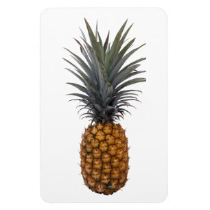Pineapple Photo Magnet