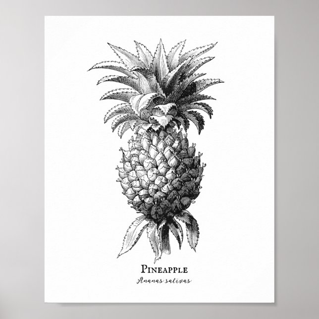 Pineapple  poster (Front)
