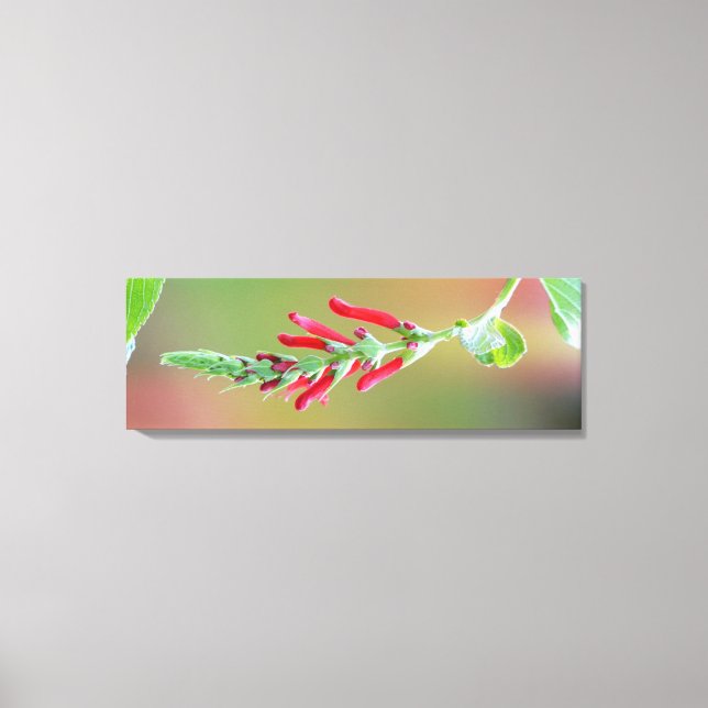 Pineapple Sage Bloom Canvas Print (Front)