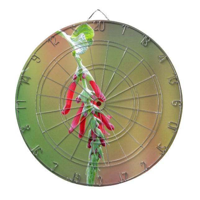 Pineapple Sage Bloom Dartboard (Front)