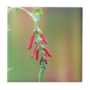 Pineapple Sage Bloom Tile
