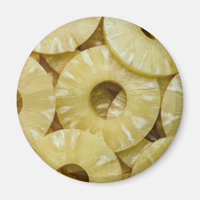 Pineapple slices magnet (Front)