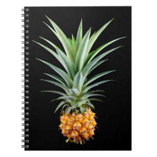 Pineapple with big hairdo on black background notebook