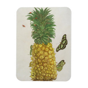 Pineapple with caterpillar and butterflies (hand-c magnet