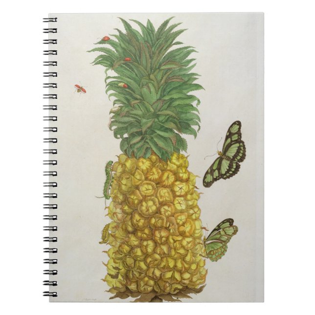 Pineapple with caterpillar and butterflies (hand-c spiral notebook (Front)