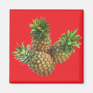 Pineapples Magnet